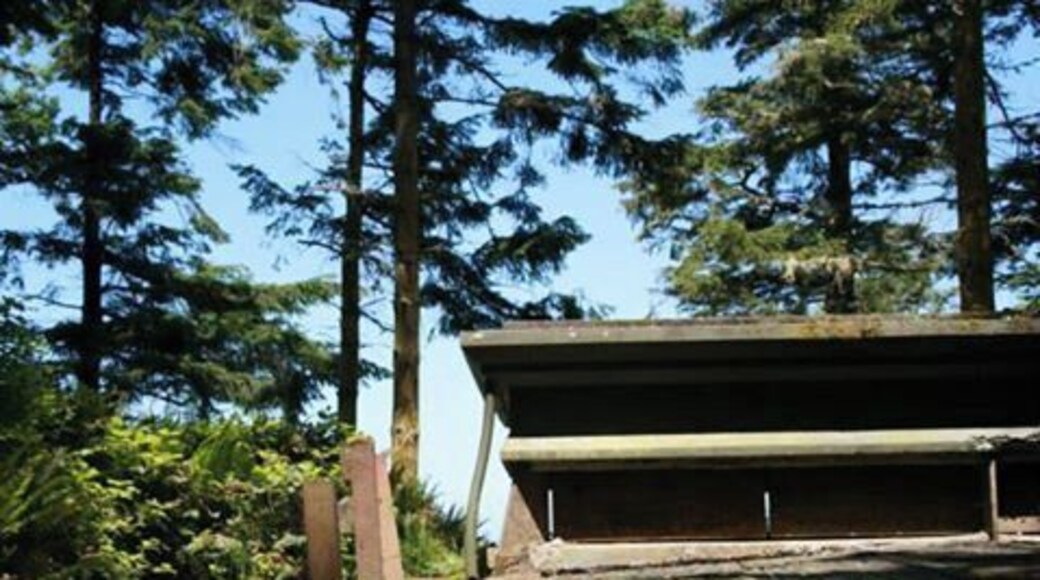 This place is a NW camping staple. Bring your windbreaker cause it can get gusty, but discovering the spooky/cool bunkers is totally worth the drive!