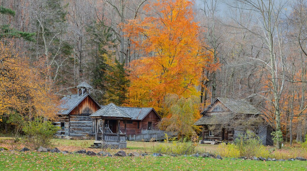 Log cabins and wooden structures in an autumn woodland