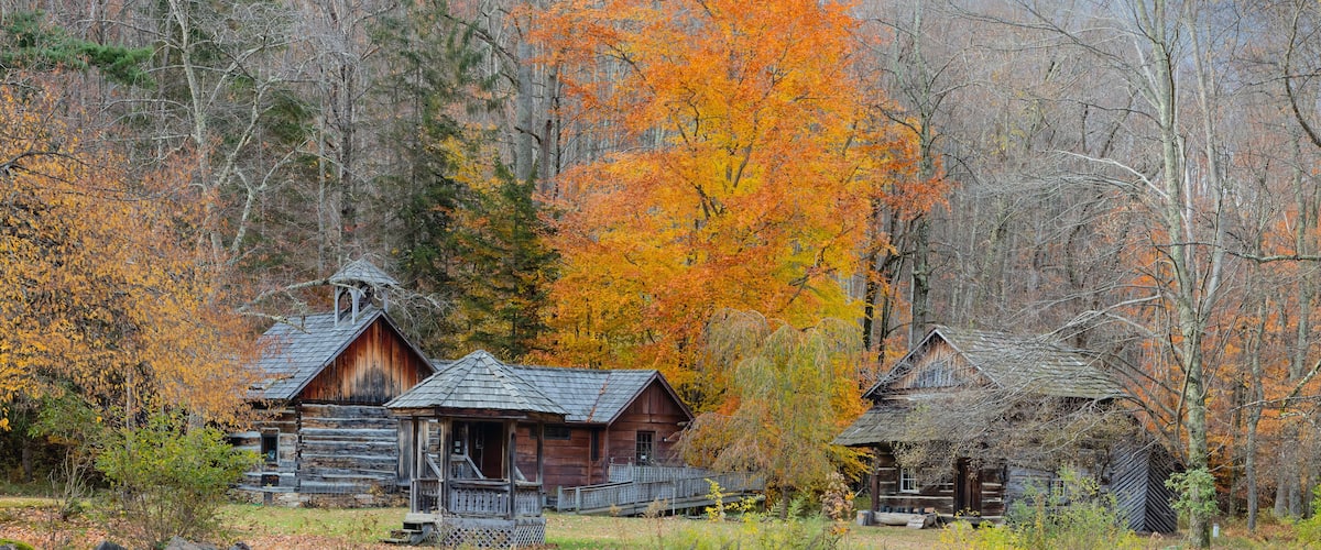 A rustic cabin surrounded by autumn foliage and a dense forest.