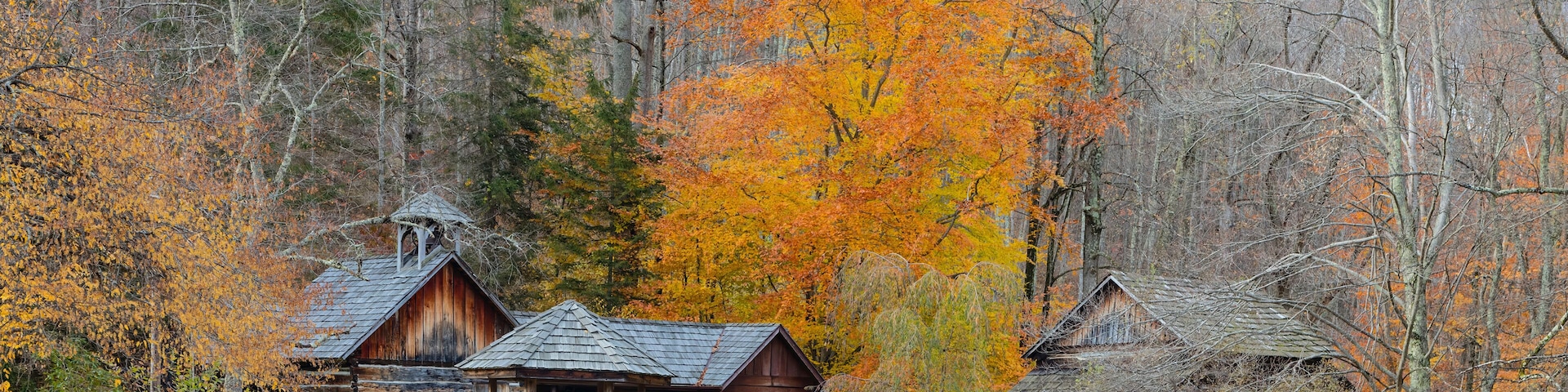 Log cabins and wooden structures in an autumn woodland