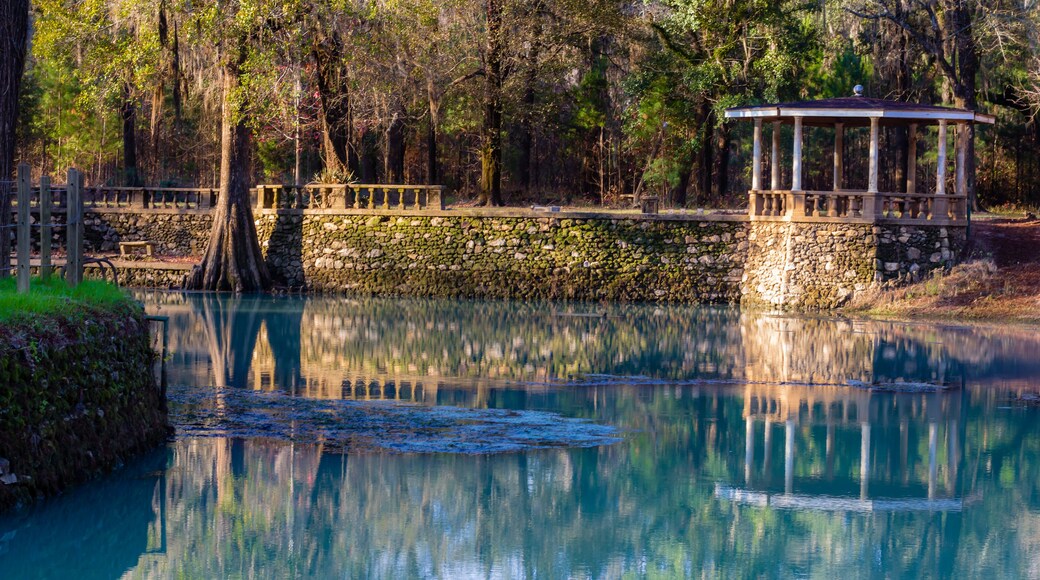 Radium Springs, Albany, Georgia, Springs, Dougherty County, Skywater