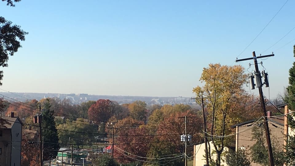 You can see Alexandria from here