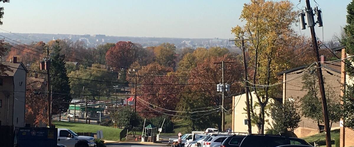 You can see Alexandria from here