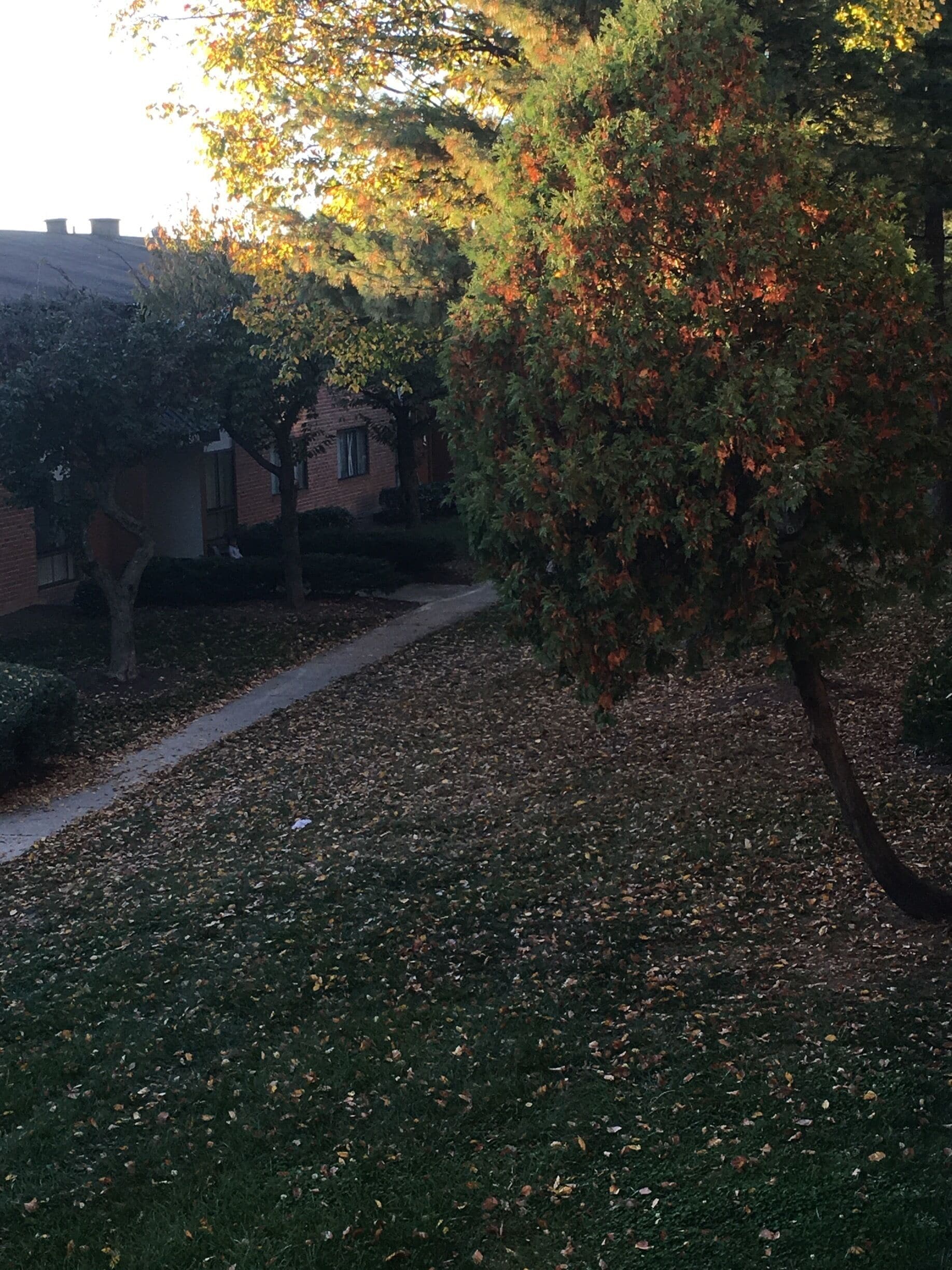 Not the best place to live, don't expect the anything to get done. 