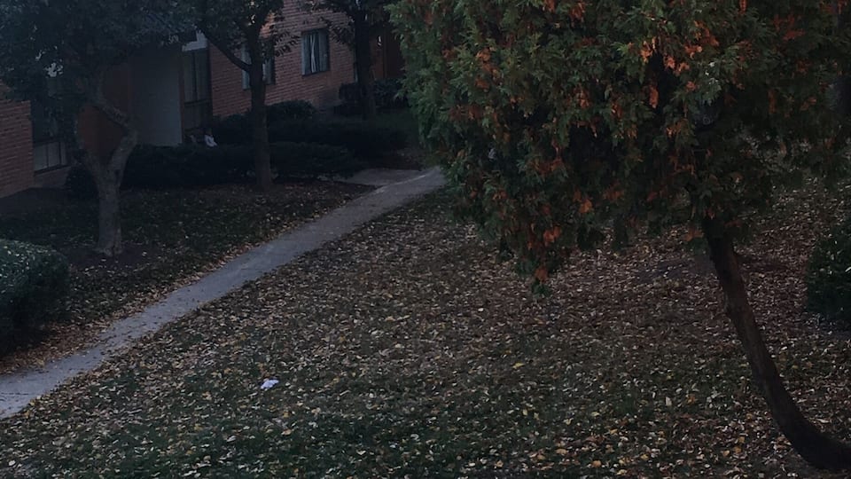 Not the best place to live, don't expect the anything to get done.