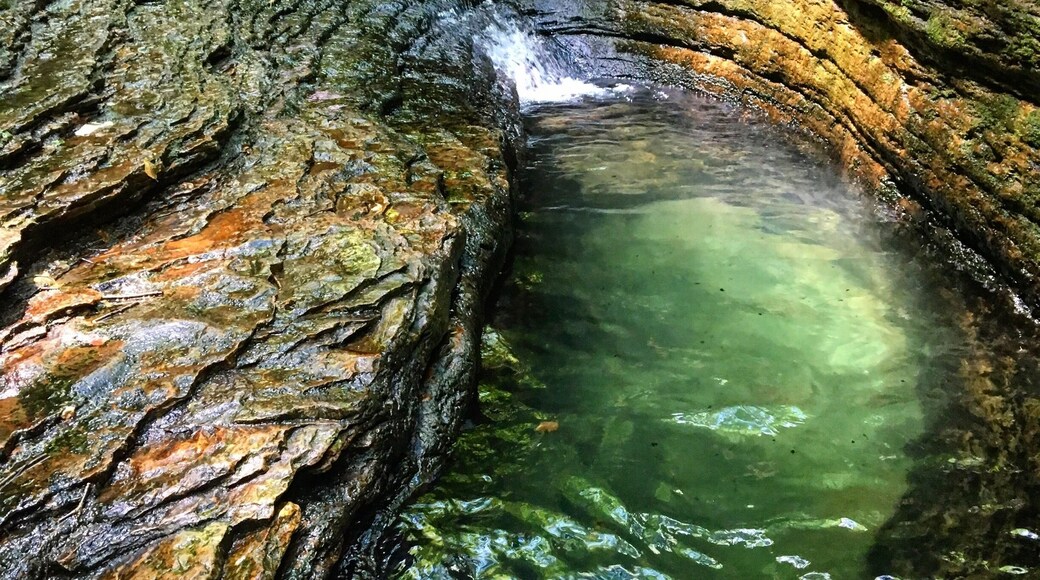 Get to this place early to avoid the crowds and find a parking spot!