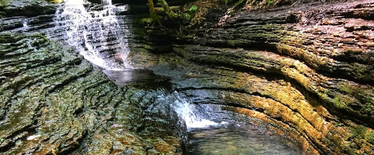 Get to this place early to avoid the crowds and find a parking spot!