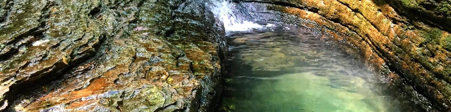 Get to this place early to avoid the crowds and find a parking spot!