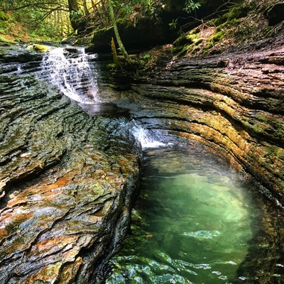 Get to this place early to avoid the crowds and find a parking spot!