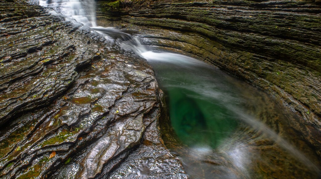 Devil's Bathtub in Scott County, VA