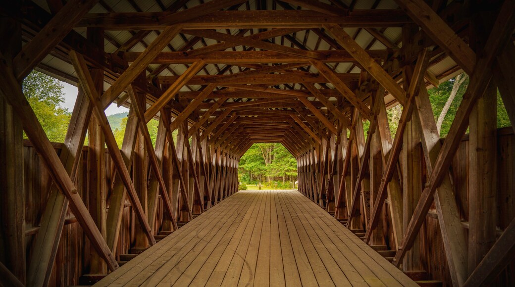 Interior beams and a wooden footpath line the Historic Bennett Bean Covered Bridge in Lincoln Plantation, Maine—a preserved Paddleford truss structure spanning the Magalloway River.