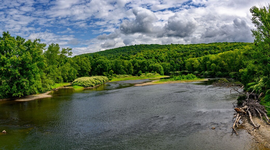 This panoramic image captures a serene river winding through a lush, green landscape under a partly cloudy sky. The far bank is covered with dense foliage, while a forested hill rises in the distance.