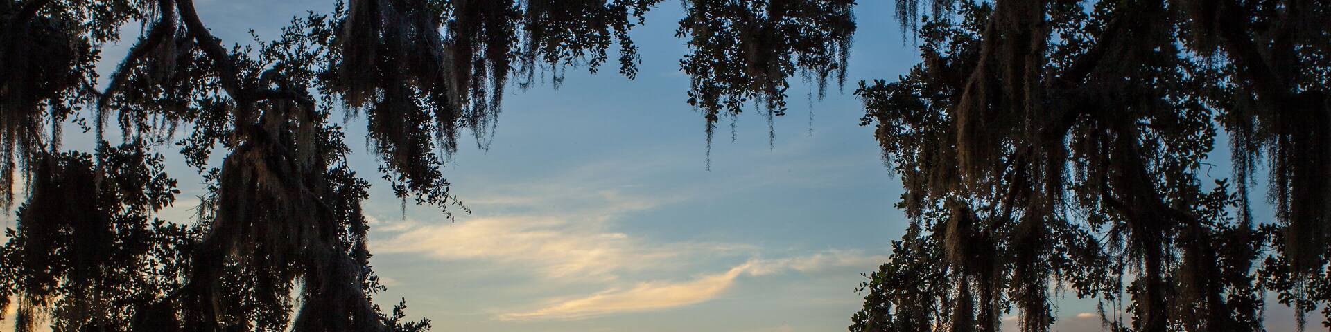 Southeast savannah marsh and docks scene