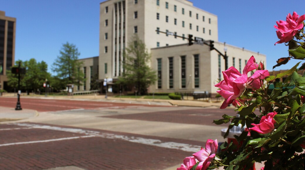 Pink Roses With Smith County Courthouse Tyler, TX in Background