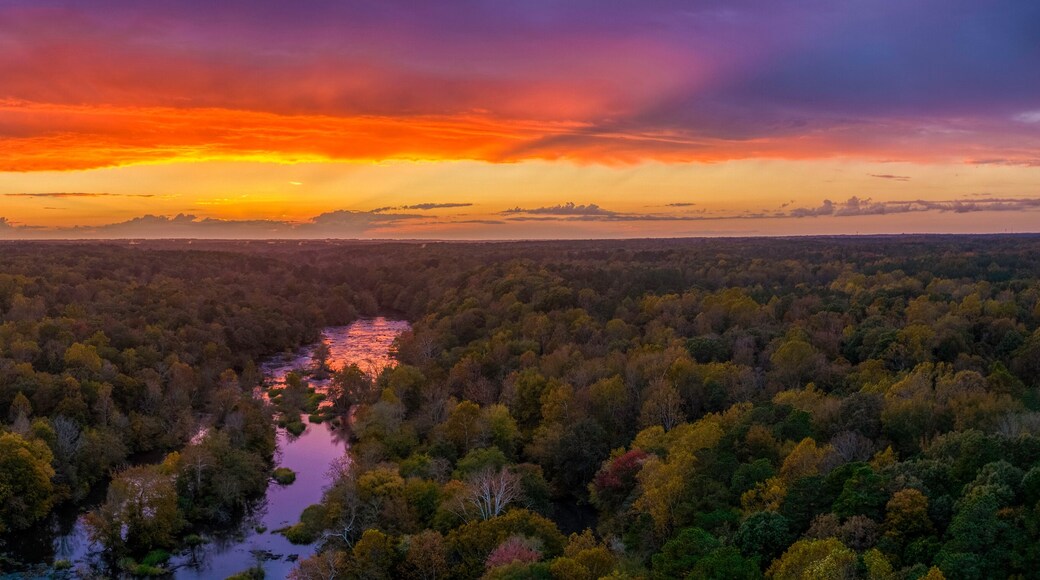 Condado de Hopewell City