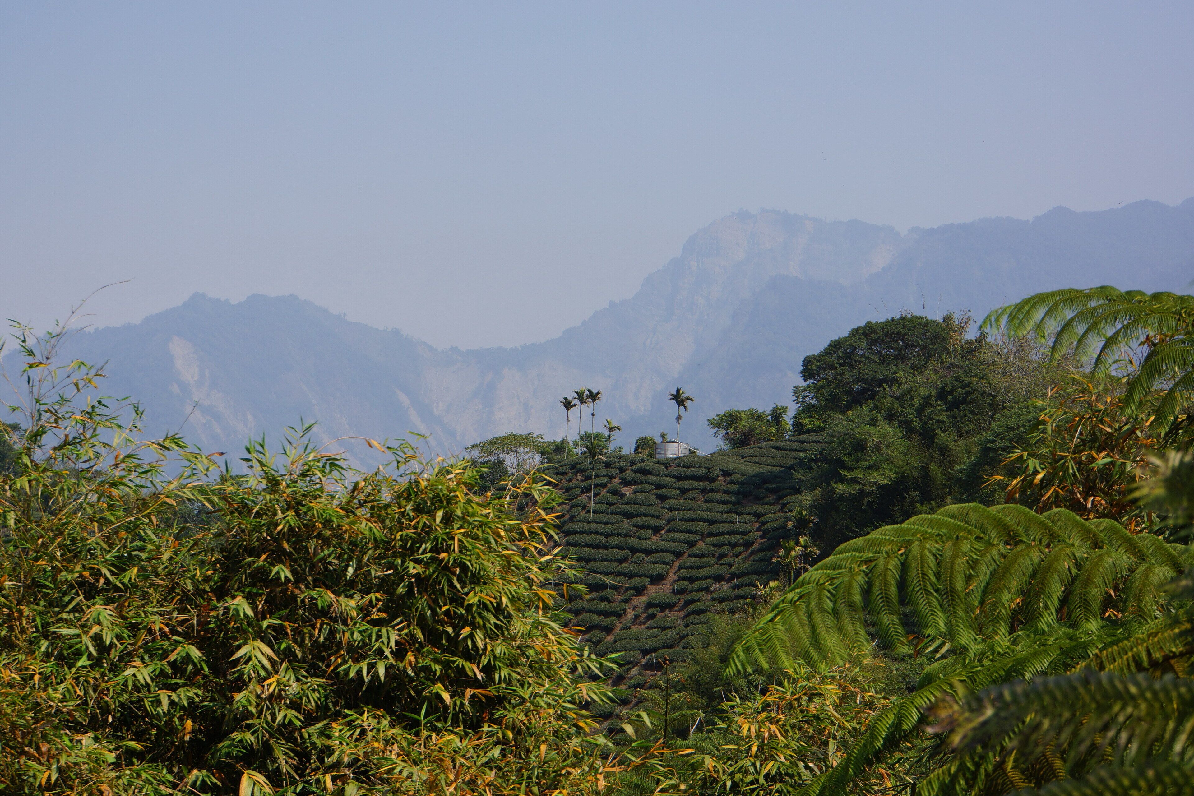 Distant View of Luku Mountain 鹿窟山遠眺