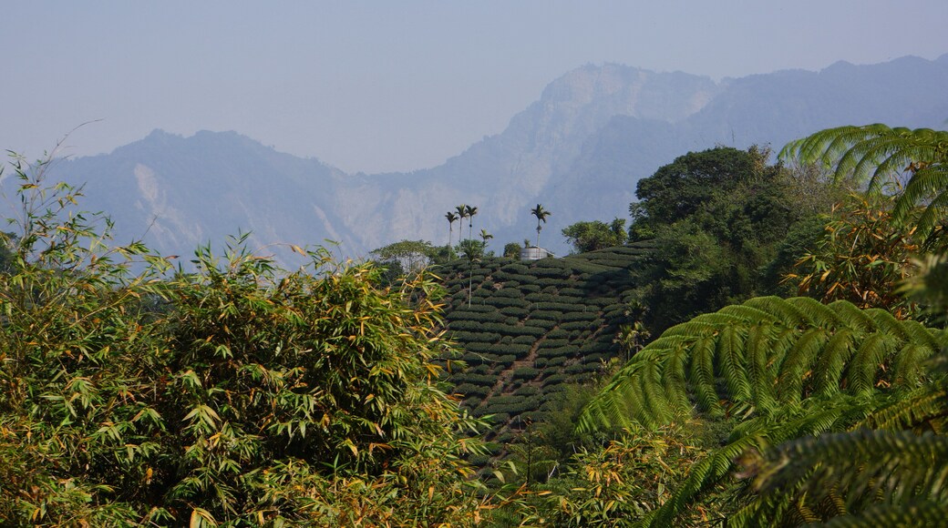 Distant View of Luku Mountain 鹿窟山遠眺