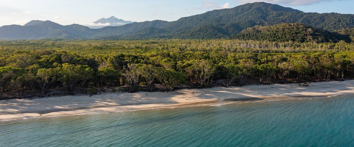 A coastal landscape with a beach, dense forest, and mountains in the background.