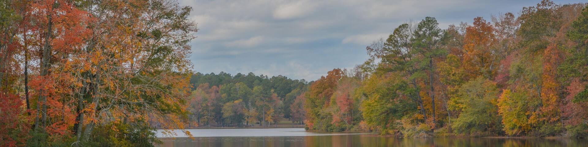 Beautiful Hamburg Lake in Hamburg State Park, Mitchell, Washington County, Georgia