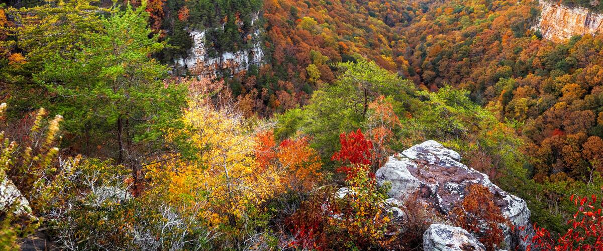 Cloudland Canyon, Georgia, USA autumn landscape at dusk 02