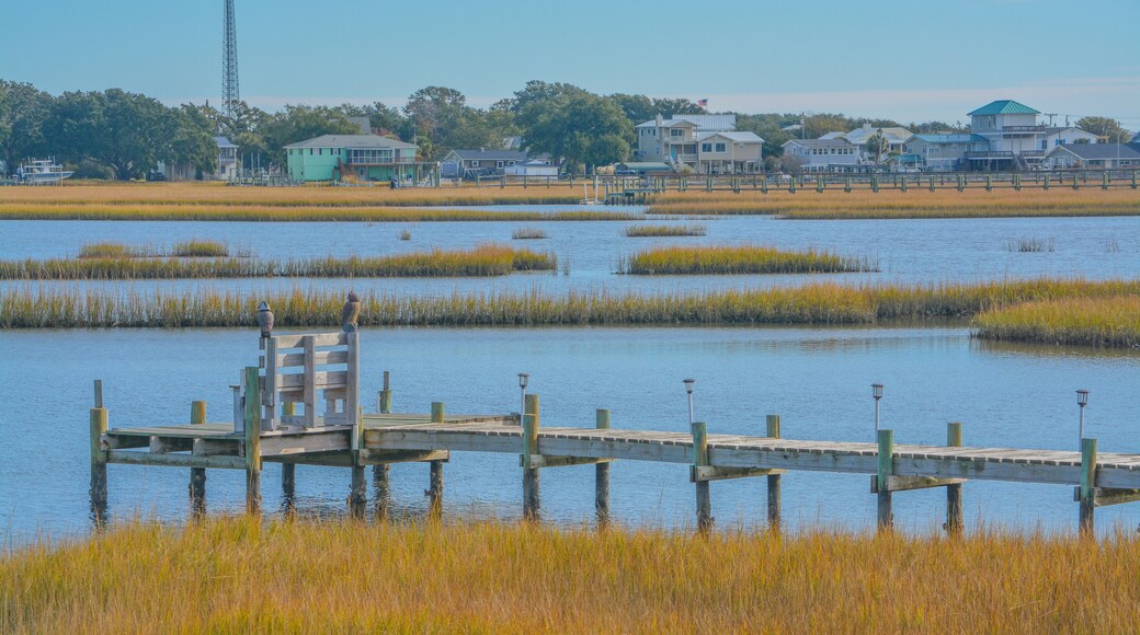 The freshwater wetlands of White Oak River on the Atlantic Coastal Plain in Onslow County, North Carolina