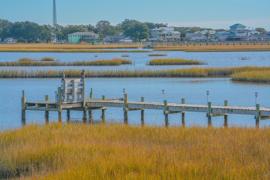 A wooden pier extending into a marshy water body with houses in the background.