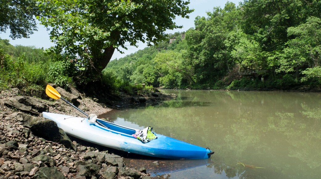 A blue kayak on a rocky riverbank with a tree overhead.