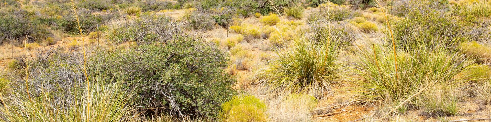 Scenic landscape in Hidalgo County, New Mexico, USA