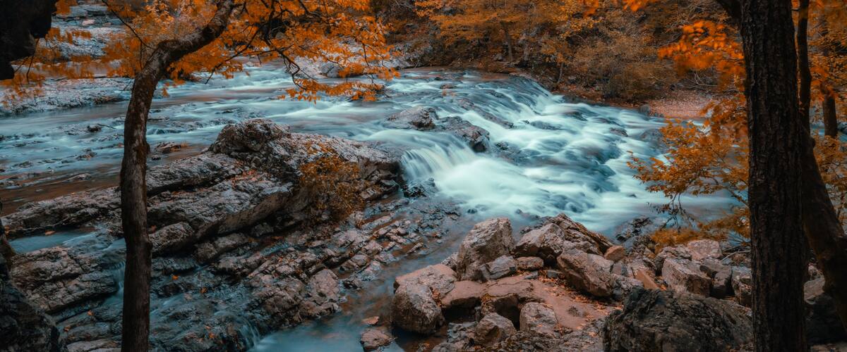 Fall colored tree leaves line the banks of a creek stream as the water cascade flows down a rocky river bed forest in autumn.