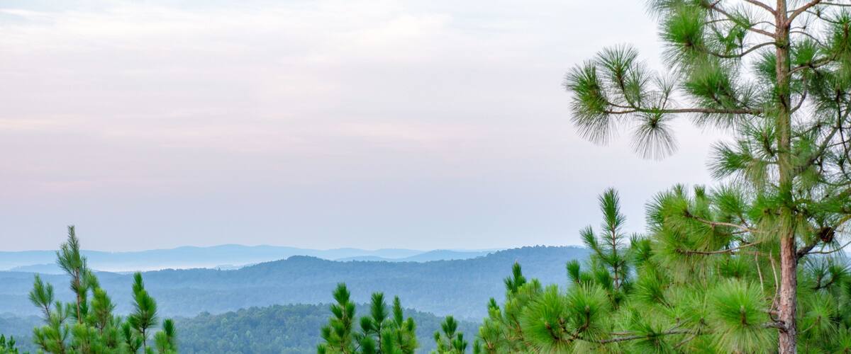 Foggy morning in the valley, from a scenic overlook in the Talladega National Forest in Alabama, USA