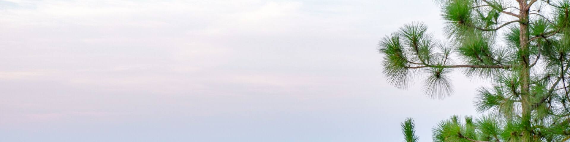 Foggy morning in the valley, from a scenic overlook in the Talladega National Forest in Alabama, USA