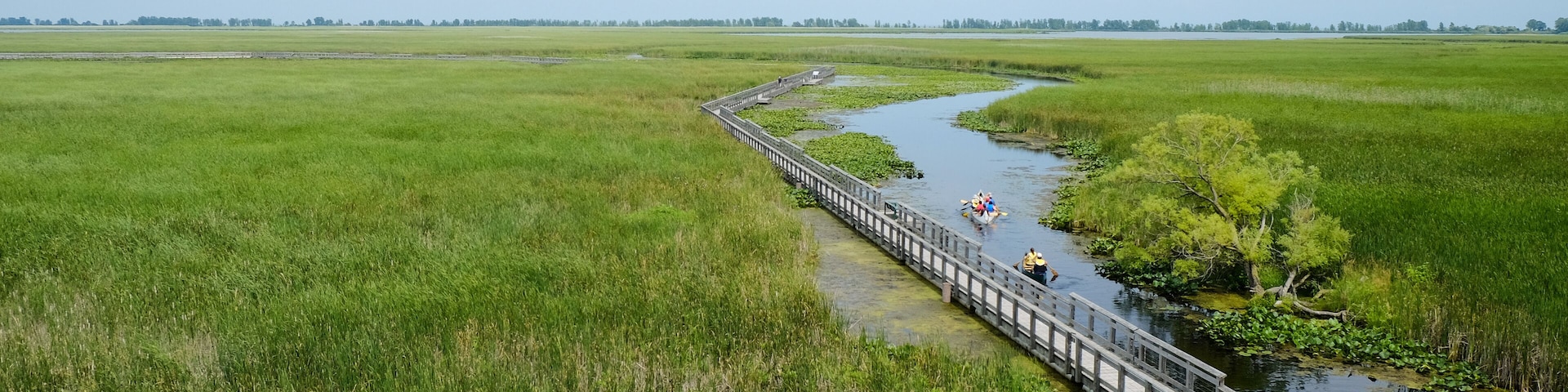 Ein Fluss mit einer Holzbrücke, umgeben von Feuchtgebieten.