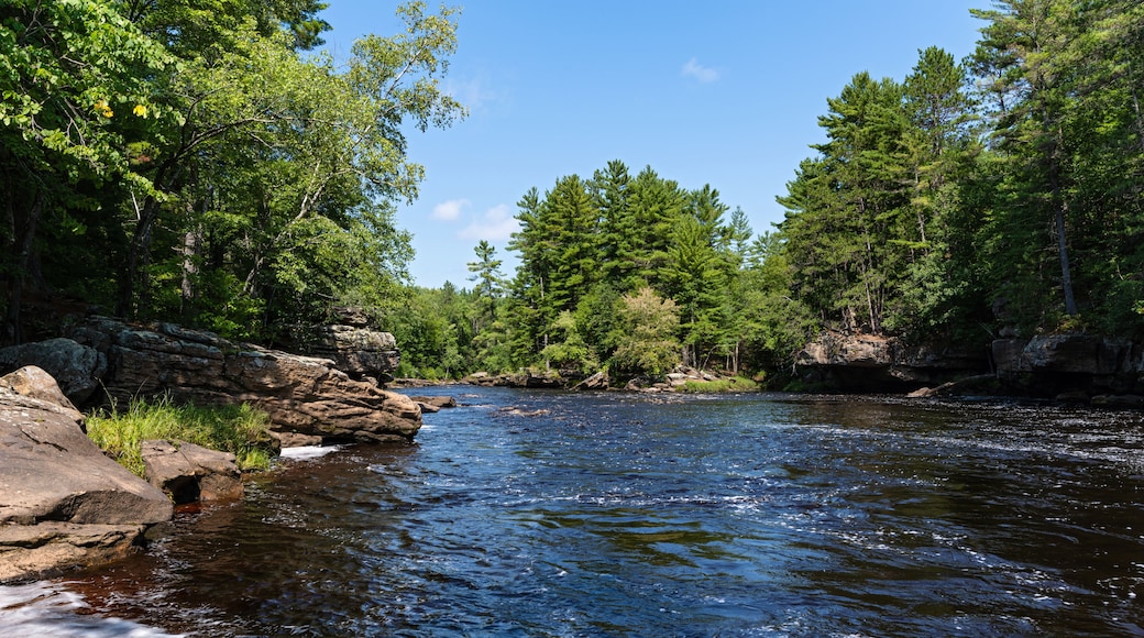 Une rivière qui traverse une forêt, avec des berges rocheuses et une végétation dense.