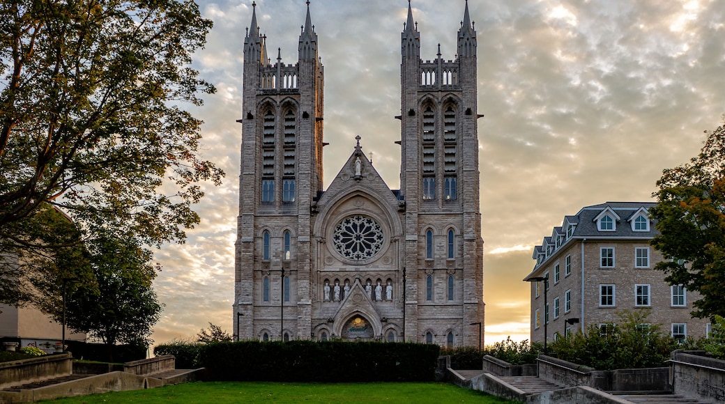 Church of Our Lady Immaculate in Guelph, Ontario, Canada