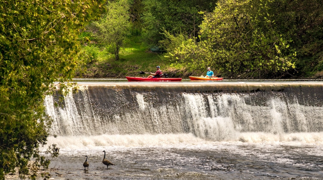 Condado de Wellington