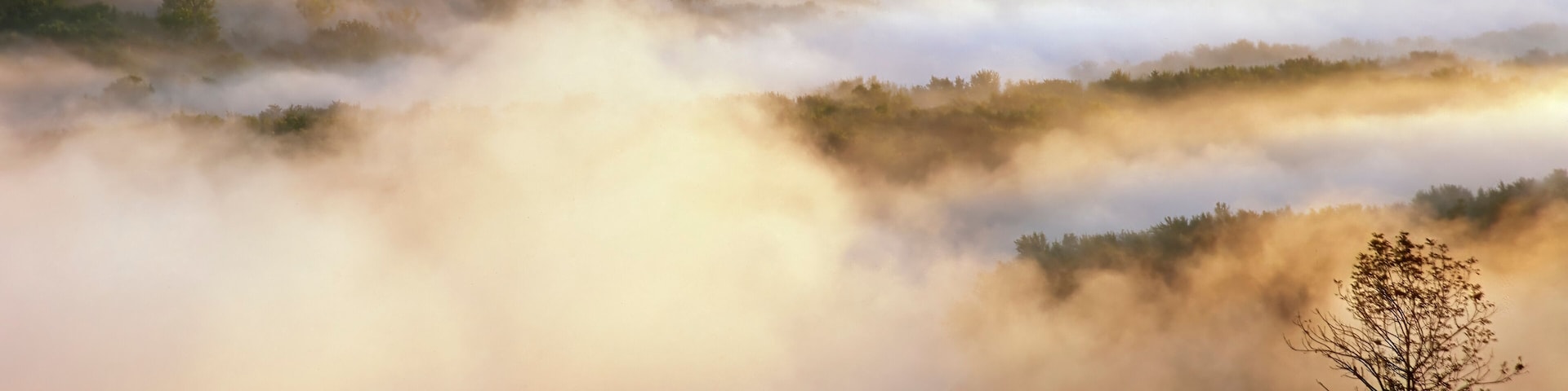 428-99 Wyalusing Valley Mist