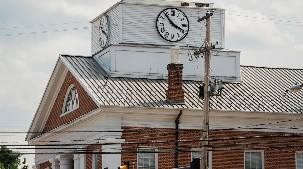 Una torre del reloj con cúpula dorada y una bandera estadounidense, frente a un cielo nublado.