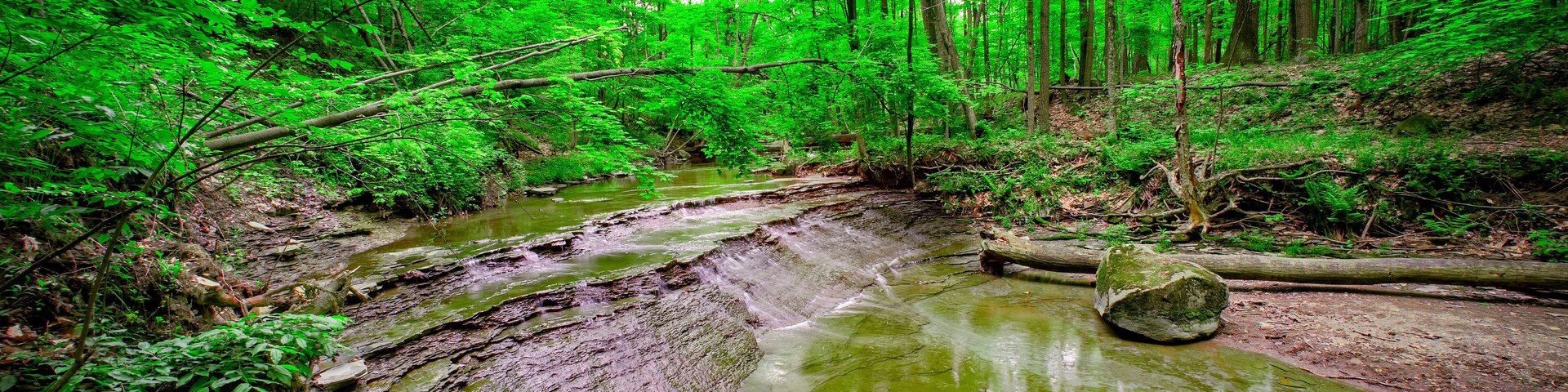 Cuyahoga Valley National Park, Ohio, USA