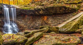 Elizabeth Park Valley