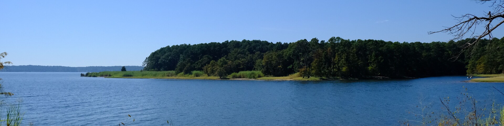 View of Toledo Bend from Sabine National Forest