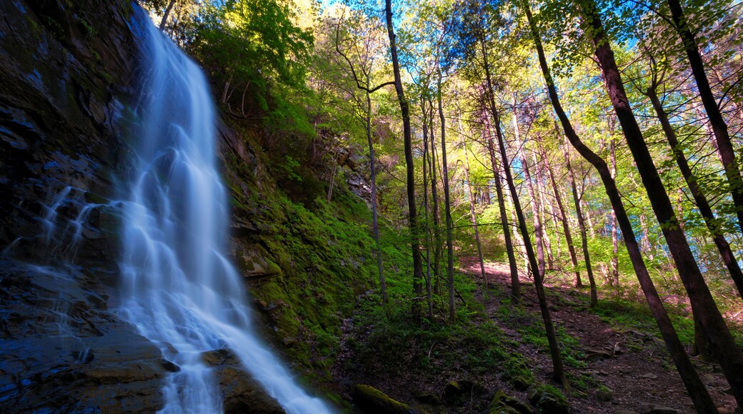 Sill Branch Waterfalls in Unicor County Tennessee