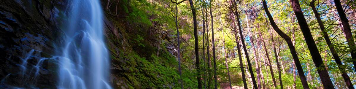 Sill Branch Waterfalls in Unicor County Tennessee