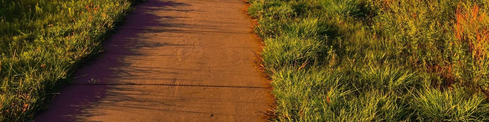 If you are in Dodge City, be sure to travel just outside of town to see the wagon tracks that go across the prairie. Just an amazing sight.