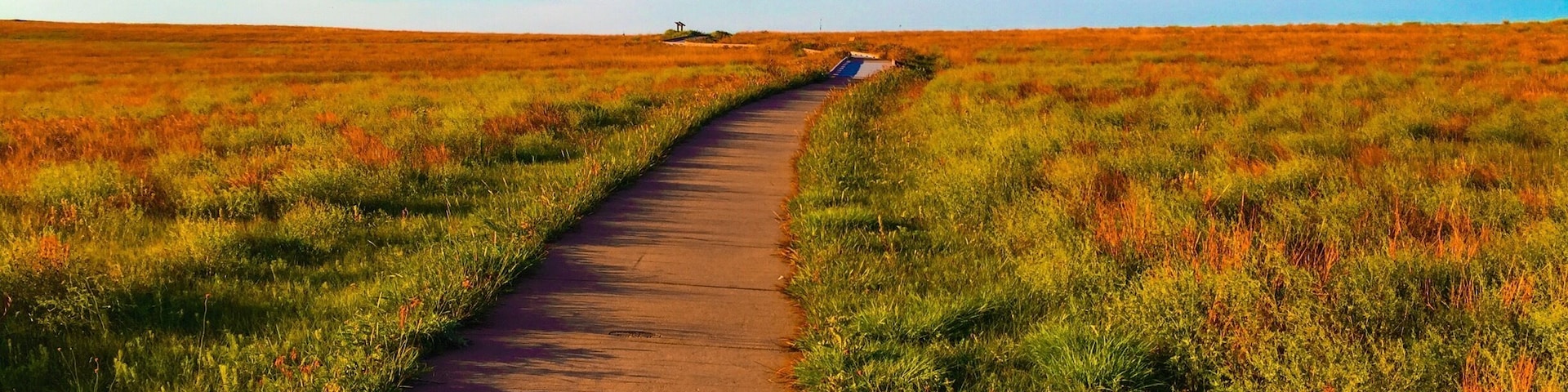 If you are in Dodge City, be sure to travel just outside of town to see the wagon tracks that go across the prairie. Just an amazing sight.