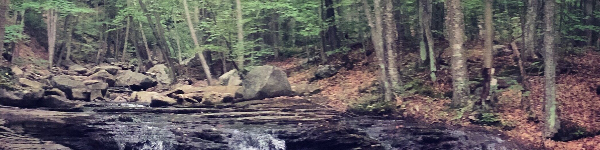 Way off the beaten path, but a favorite for a lot of us who grew up in Central-Northeastern Pennsylvania...
A fork in the dirt road. Get out and venture along the creek... Amongst the wooded mountains, you're sure to find swimming holes and waterfalls.
Rock Run, Ralston, PA. August, 2015.