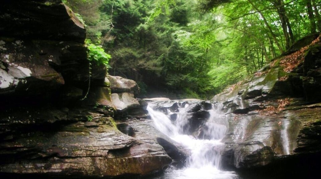 beautiful state park near my hometown, Pennsylvania, 2007