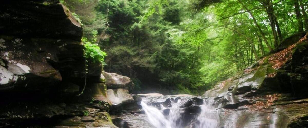 beautiful state park near my hometown, Pennsylvania, 2007