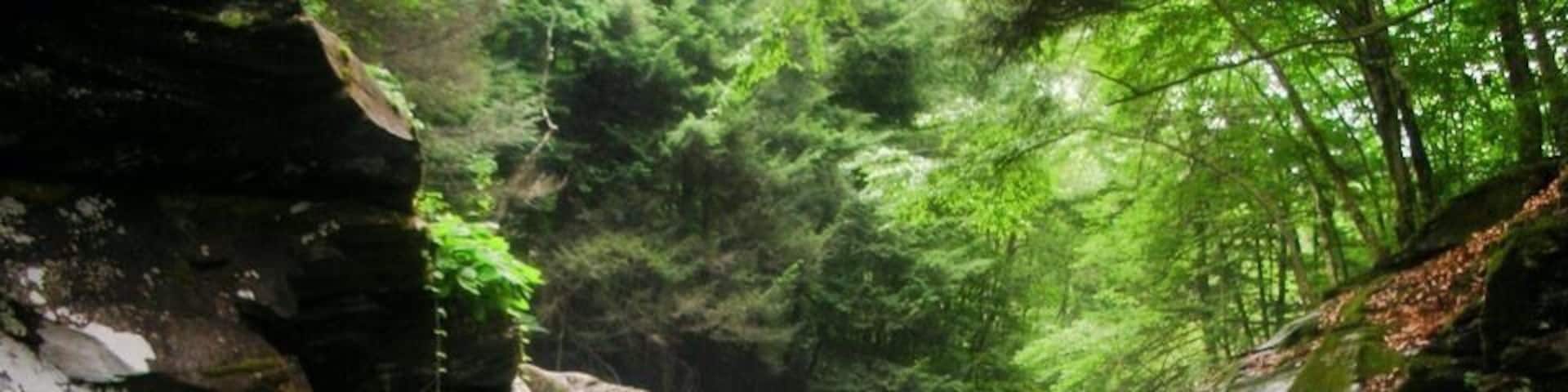 beautiful state park near my hometown, Pennsylvania, 2007