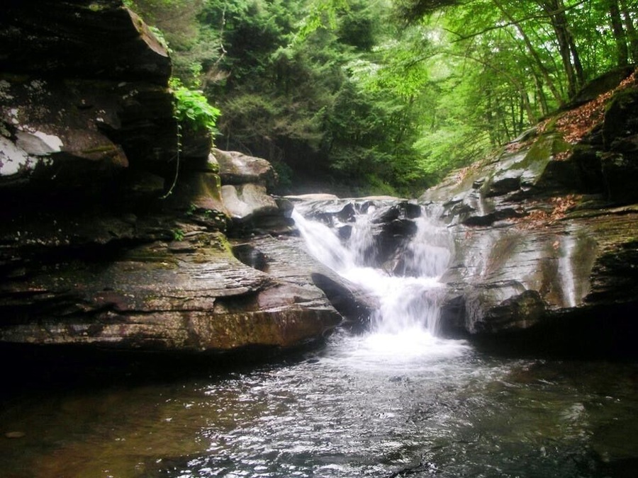 beautiful state park near my hometown, Pennsylvania, 2007