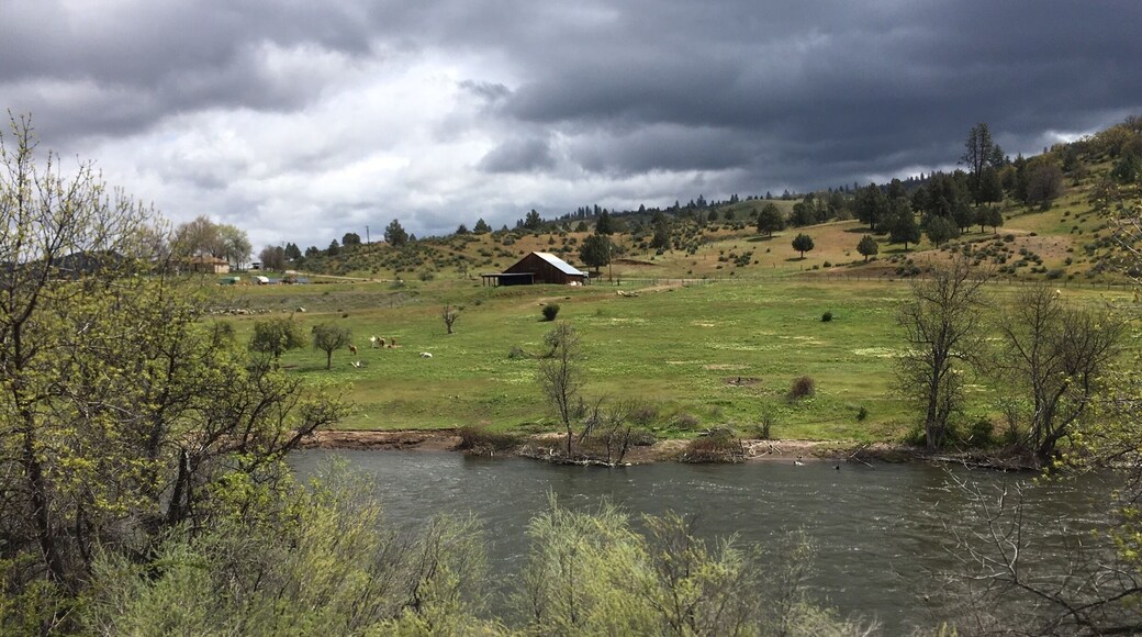 Klamath River northbound on I5. Picturesque country setting.
#california #nature #river
(April 2017)